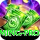 1Win Casino Pakistan Gaming Pro