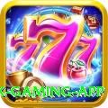 7VVBet Max Gaming App